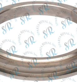 cutting-ring-dn-180-10140388