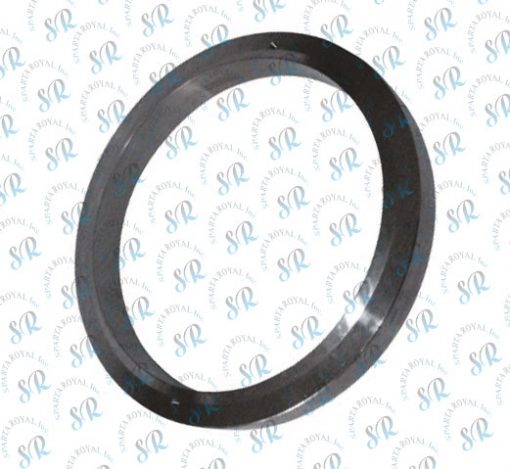 seal-ring-1031108